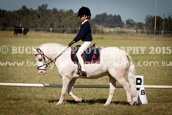 SPP Dressage 2025-57