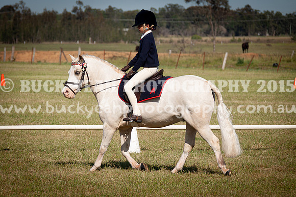 SPP Dressage 2025-56