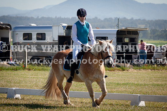 SPP Dressage 2025-60