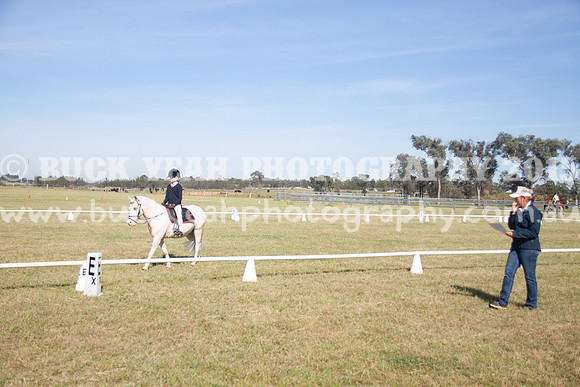 SPP Dressage 2025-62