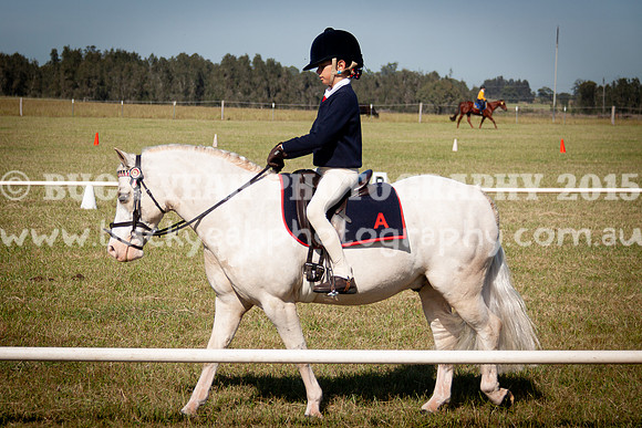 SPP Dressage 2025-63