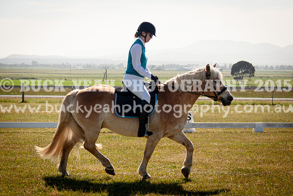 SPP Dressage 2025-65