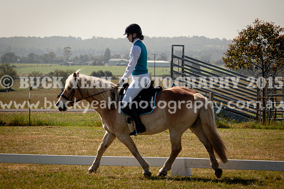 SPP Dressage 2025-66