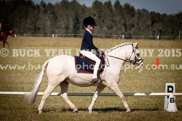 SPP Dressage 2025-68