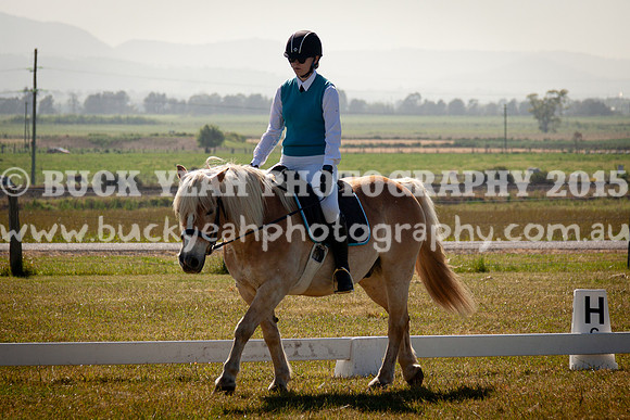SPP Dressage 2025-69