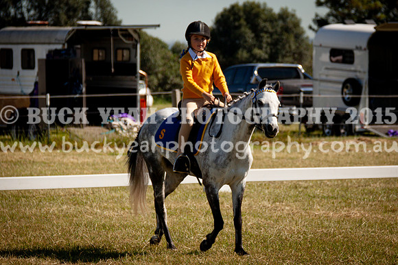 SPP Dressage 2025-71