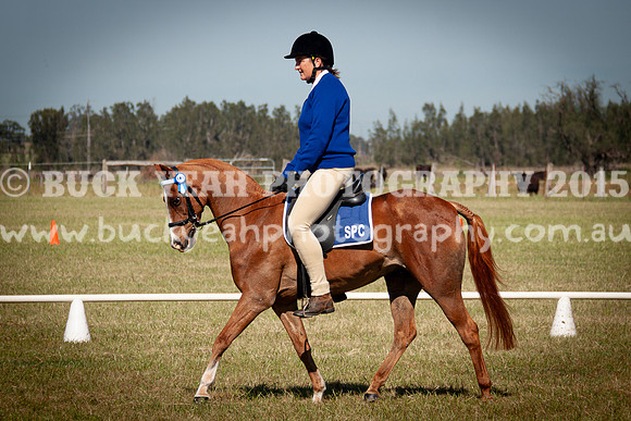 SPP Dressage 2025-80
