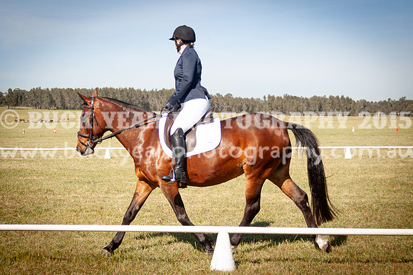 SPP Dressage 2025-98