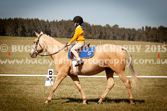 SPP Dressage 2025-115
