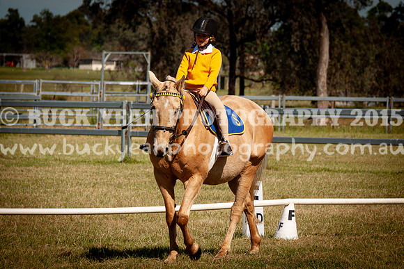 SPP Dressage 2025-117
