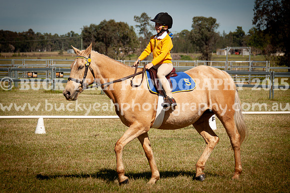 SPP Dressage 2025-114