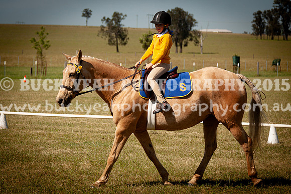 SPP Dressage 2025-116