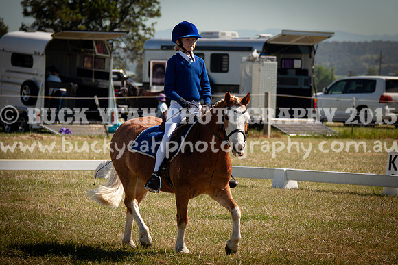 SPP Dressage 2025-121