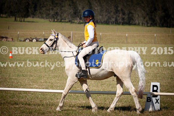 SPP Dressage 2025-131