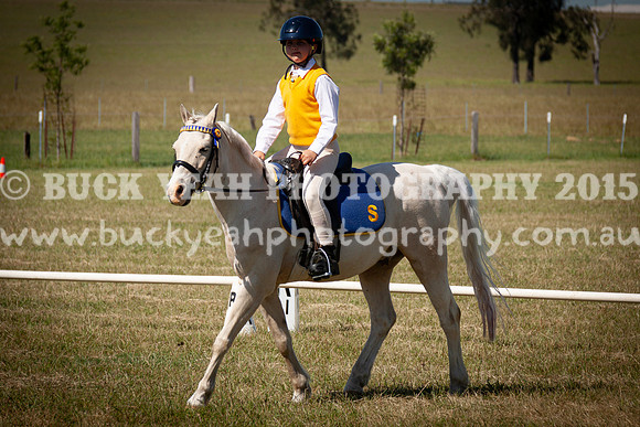 SPP Dressage 2025-133