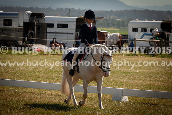 SPP Dressage 2025-139
