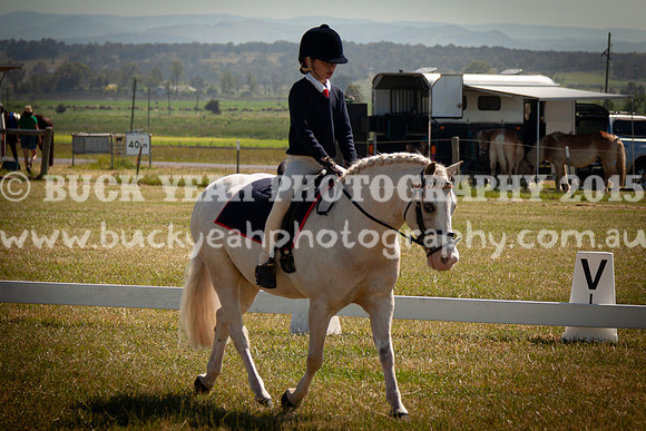 SPP Dressage 2025-140