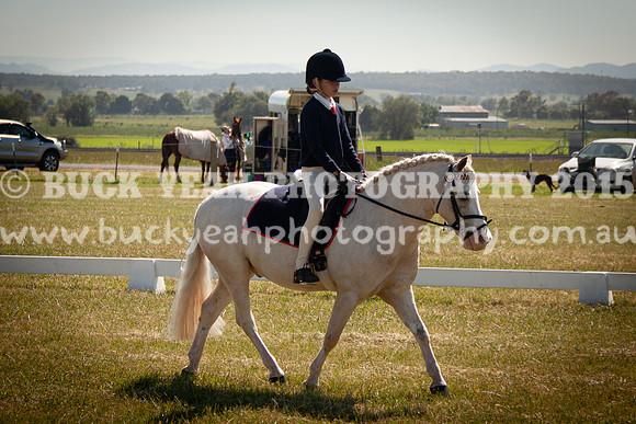 SPP Dressage 2025-142