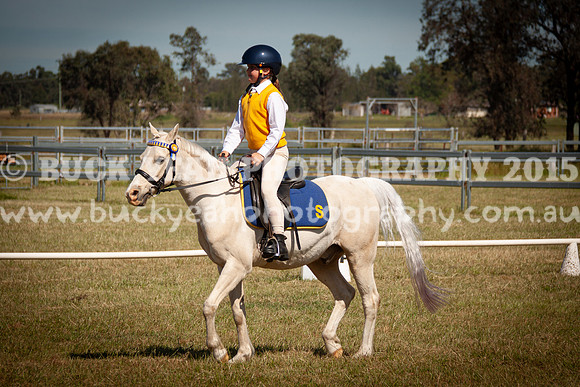 SPP Dressage 2025-146