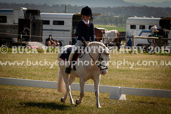SPP Dressage 2025-159