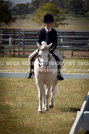 SPP Dressage 2025-157