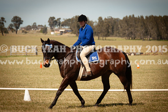 SPP Dressage 2025-172