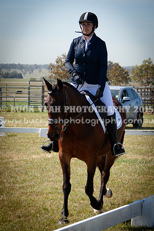 SPP Dressage 2025-176
