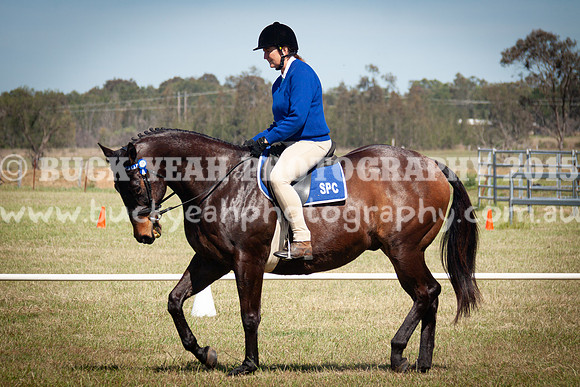 SPP Dressage 2025-181