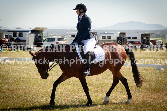 SPP Dressage 2025-179