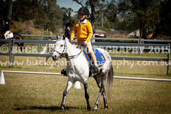 SPP Dressage 2025-186