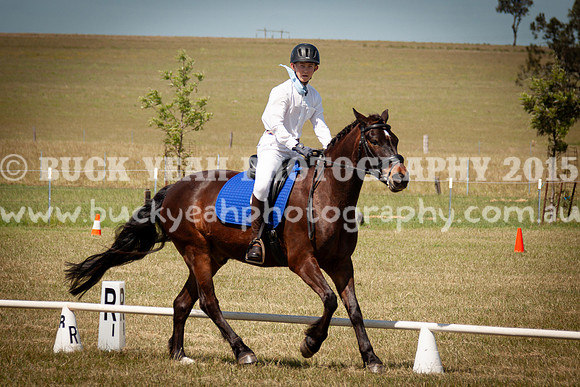 SPP Dressage 2025-211