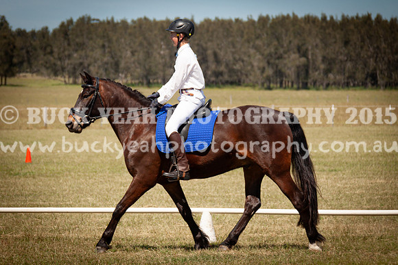 SPP Dressage 2025-210
