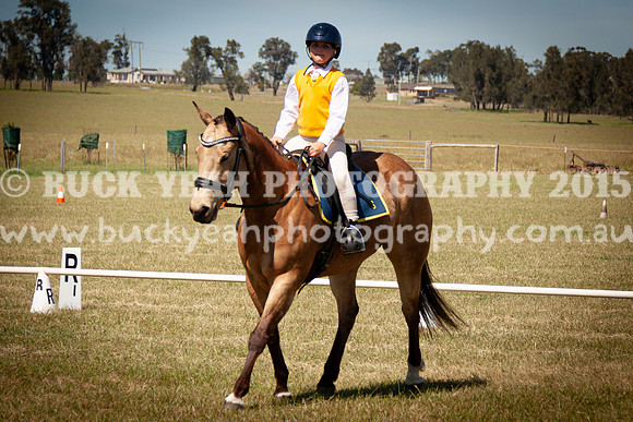 SPP Dressage 2025-200