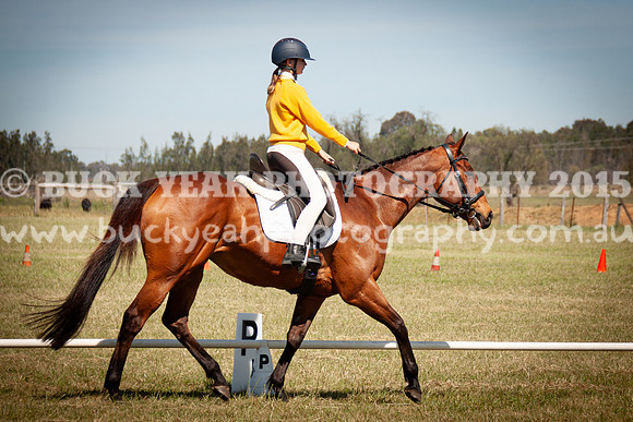 SPP Dressage 2025-204