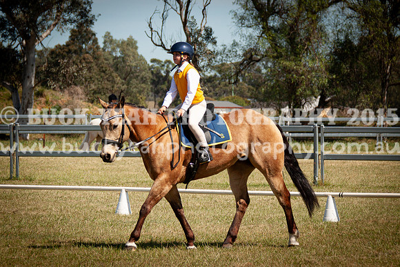 SPP Dressage 2025-202