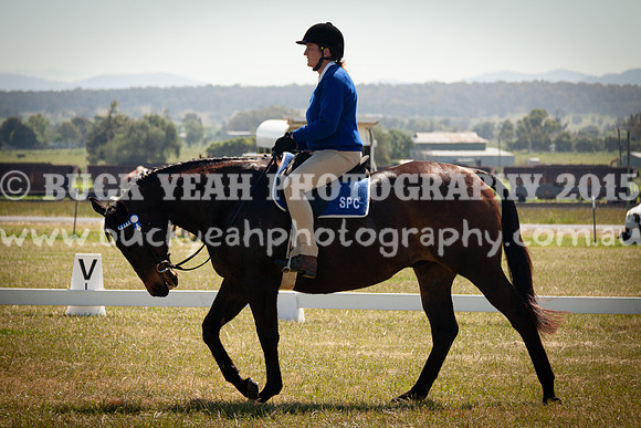 SPP Dressage 2025-201