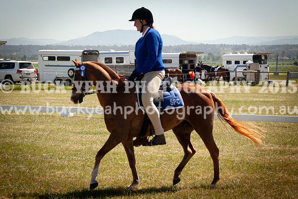 SPP Dressage 2025-207