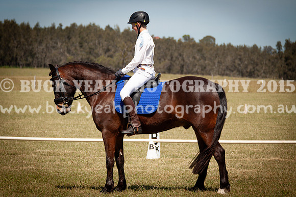 SPP Dressage 2025-213