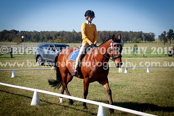 SPP Dressage 2025-193