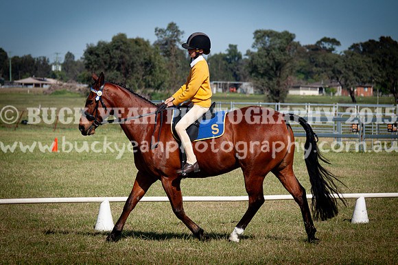 SPP Dressage 2025-194