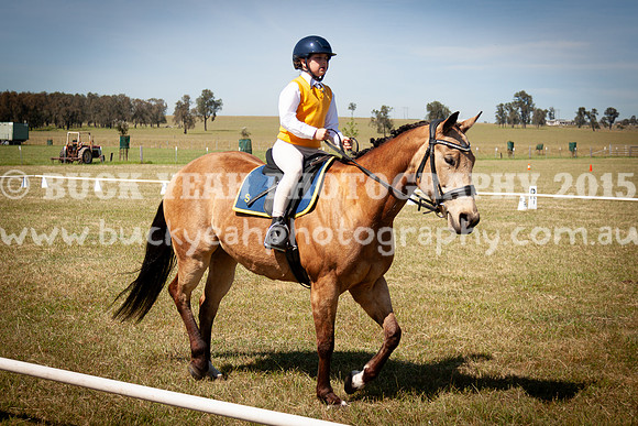 SPP Dressage 2025-198