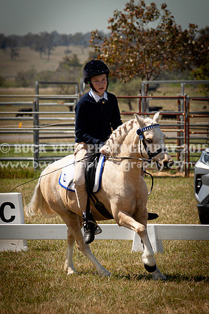 SPP Dressage 2025-216