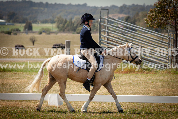 SPP Dressage 2025-215
