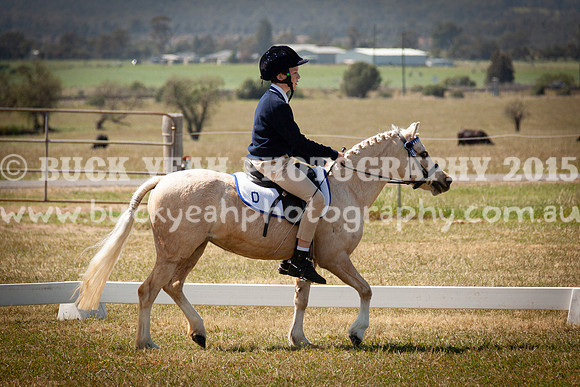 SPP Dressage 2025-214