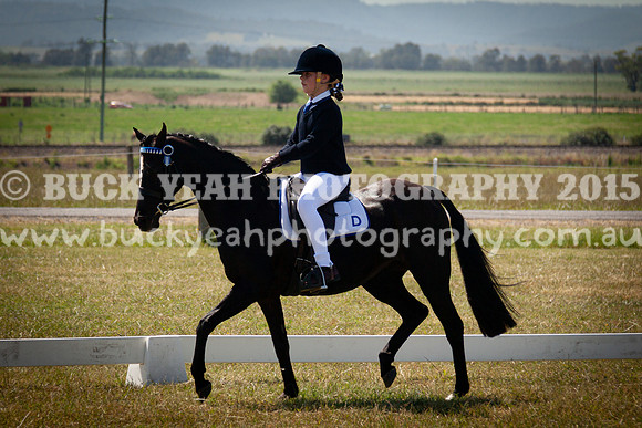 SPP Dressage 2025-223