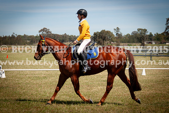 SPP Dressage 2025-221