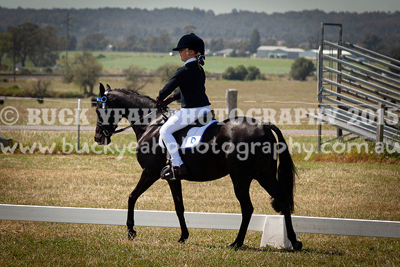 SPP Dressage 2025-226