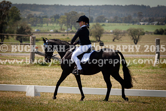 SPP Dressage 2025-227