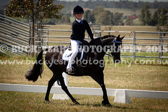SPP Dressage 2025-228
