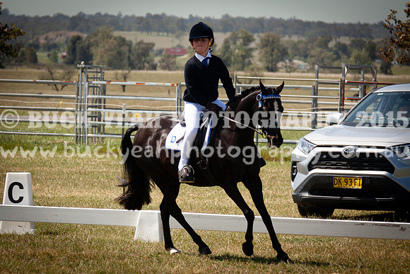 SPP Dressage 2025-229